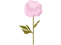 Peony