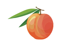 Peach Branch