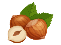 Hazelnut