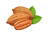 Pecan Nut