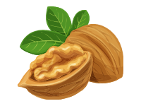 Walnut