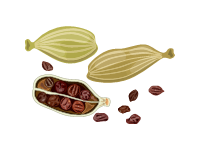 Cardamom