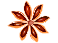 Star Anise