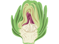 Artichoke Slice