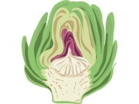 Artichoke Sliced