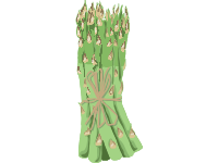 Asparagus