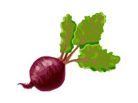 Beet