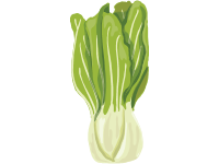 Bok Choy