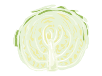 Cabbage Sliced