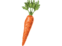 Carrot