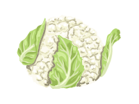 Cauliflower