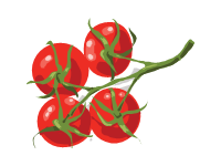 Cherry Tomatoes