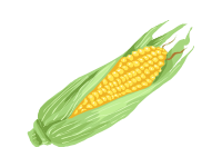 Corn Cob Opened