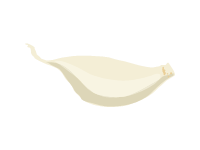 Garlic Clove