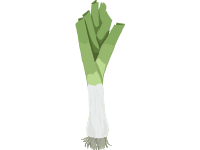 Leek