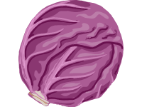 Red Cabbage