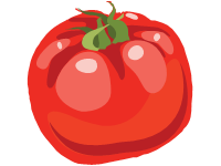 Tomato