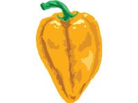 Yellow Pepper