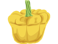 Yellow Zucchini