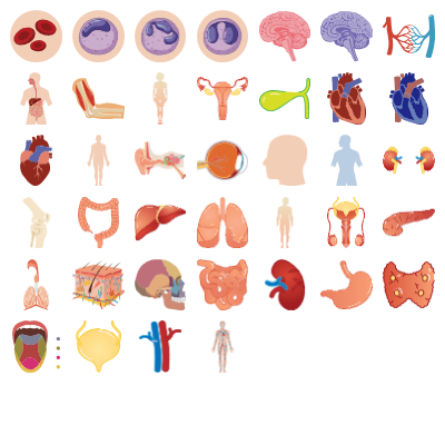 Human Body Preview Small