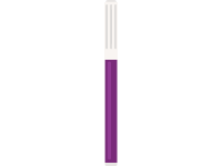 Purple Painting Pen