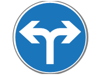 Drive Right or Left Mandatory