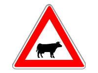 Warning for Cattle on The Road