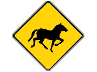 Wild Horse Crossing Yellow