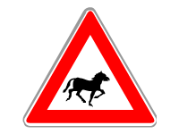 Wild Horse Crossing