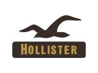 Hollister Co