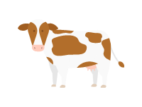 Austrian Cow