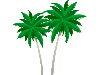 Palm Trees