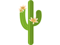 Cactus with Flowers