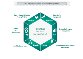 ITCompany Lifecycle Process Management thumb