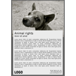 Animal Rights Brochure thumb