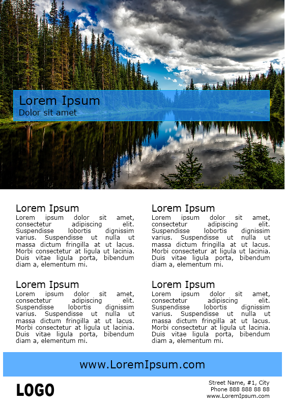 Travel Brochure