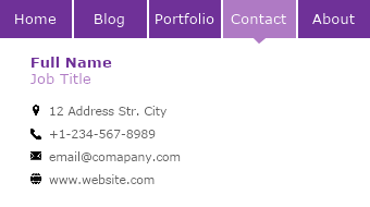 Website Style Business Card