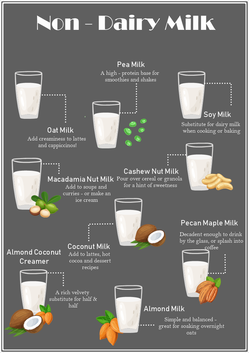 Non Dairy Milk Infographic Template Mydraw 