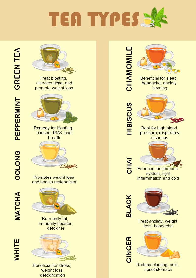 Tea Types Infographic Template | MyDraw