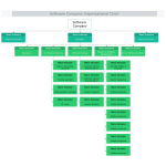Software Company Organizational Chart thumb