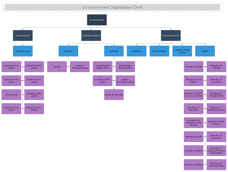 USGovernment Org Chart