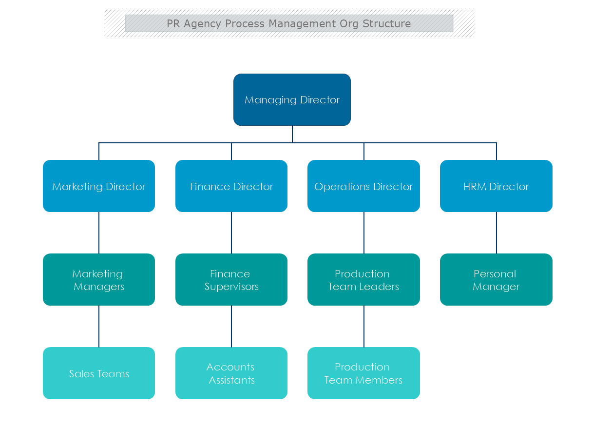 PRAgency Process Management Org Structure