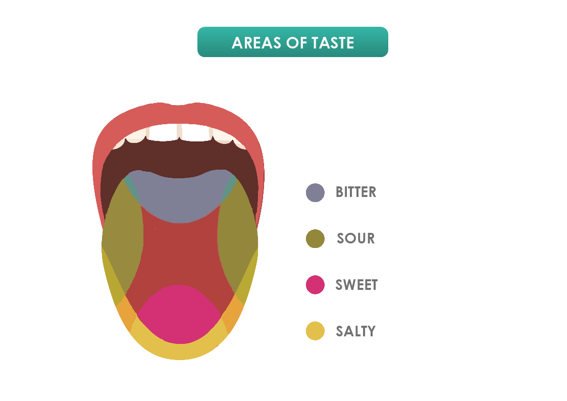 Areas of Taste