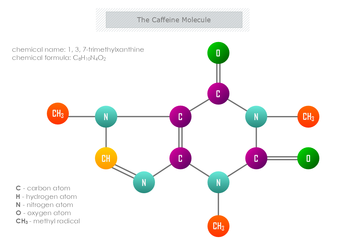 Caffeine Molecule