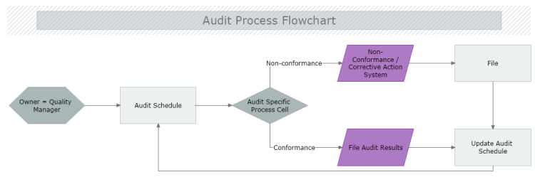 Audit Process Flowchart