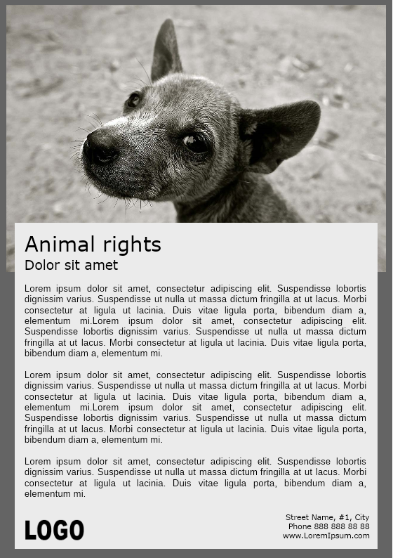 Animal Rights Brochure