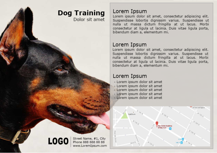 Dog Training Brochure