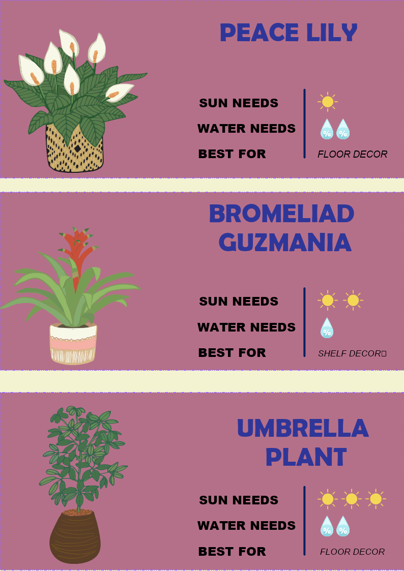 Plant Cards